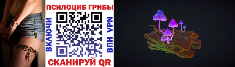 как найти наркотики  Усть-Джегута  сайты даркнета какой сайт  Галлюциногенные грибы прущие грибы 